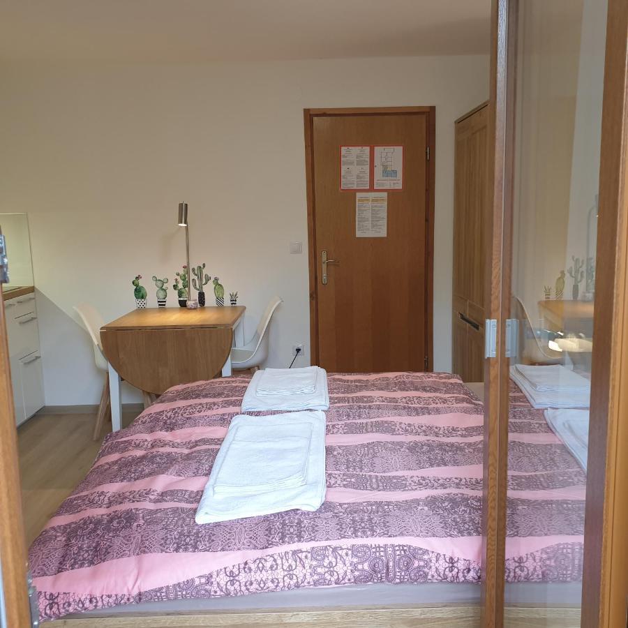בוהין Apartmaji Pri Medvedu Studio Rudnica מראה חיצוני תמונה